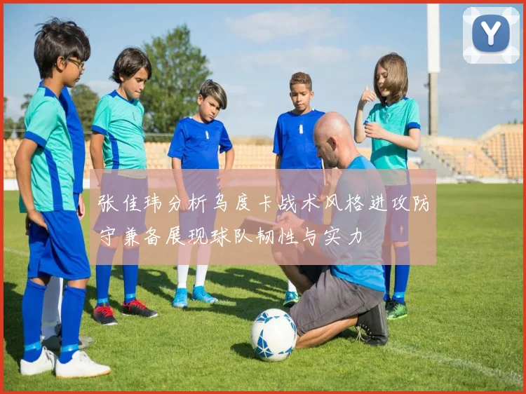 张佳玮分析乌度卡战术风格进攻防守兼备展现球队韧性与实力