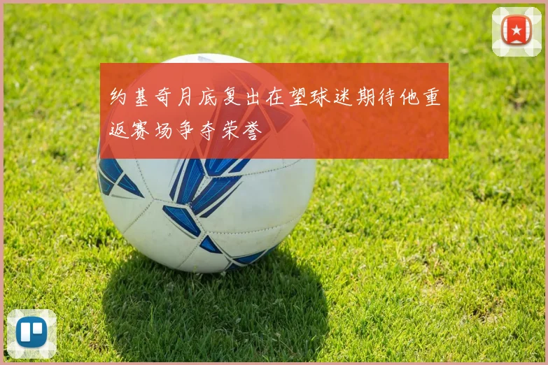 约基奇月底复出在望球迷期待他重返赛场争夺荣誉
