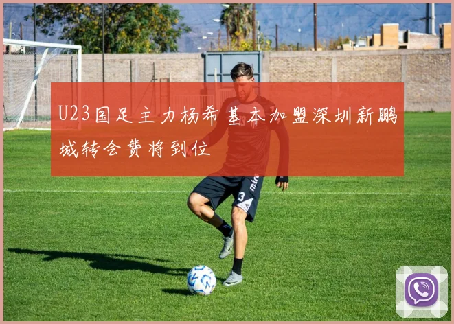 U23国足主力杨希基本加盟深圳新鹏城转会费将到位